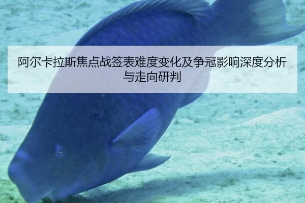 阿尔卡拉斯焦点战签表难度变化及争冠影响深度分析与走向研判